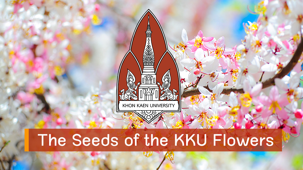 The Seeds of the KKU Flowers