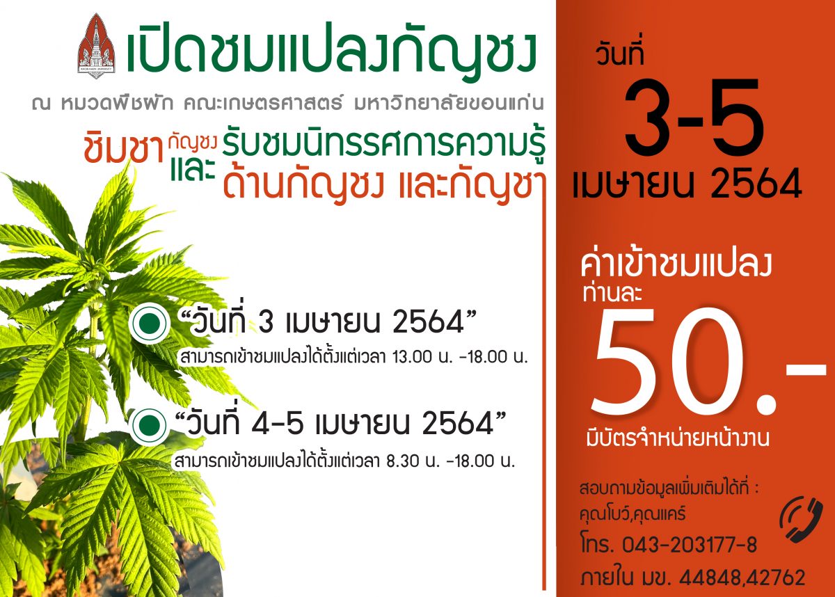 สถาบันวิจัยแคนนาบิสครบศาสตร์ กองบริหารงานวิจัย และฝ่ายวิจัยและบัณฑิตศึกษา ขอเชิญผู้สนใจเข้าร่วมโครงการประชุมวิชาการ และงานเปิดแปลงกัญชง มข. “ร่วมคิด ร่วมฝัน ปลุกปั้น กัญชงไทย”