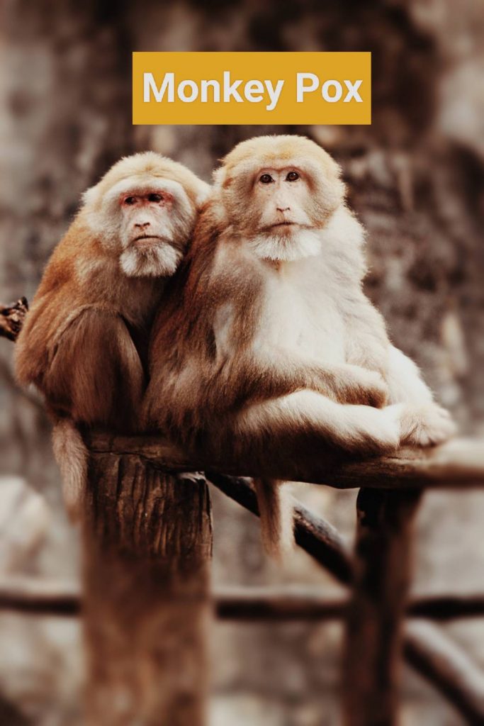 Monkey Pox